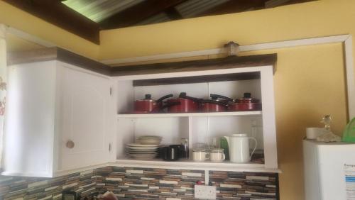 Kitchen, River Splash Cottage at Concord-Dominica in Atkinson