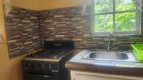Kitchen, River Splash Cottage at Concord-Dominica in Atkinson