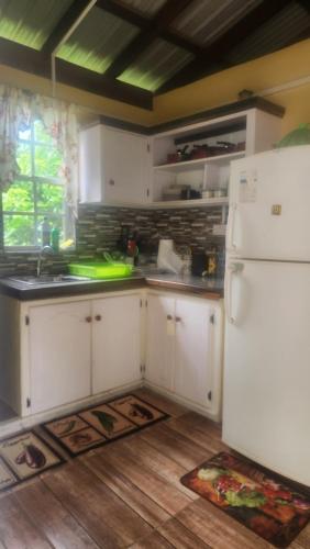 Kitchen, River Splash Cottage at Concord-Dominica in Atkinson