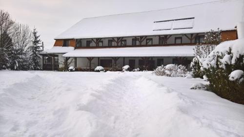 Viesnīcas āriene, Kuria Vendeghaz in Rugănești