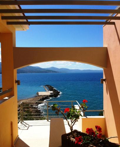 Volissos Holiday Homes in 普拉卡