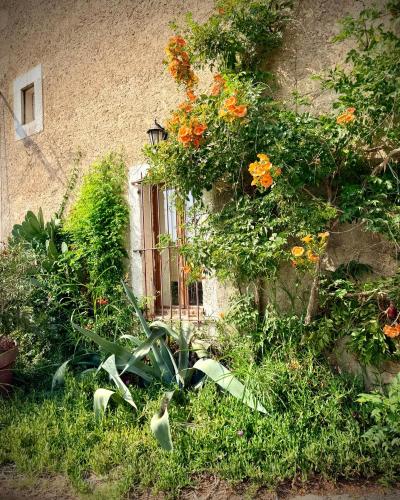 Le Ramounet - Location saisonnière - Béziers