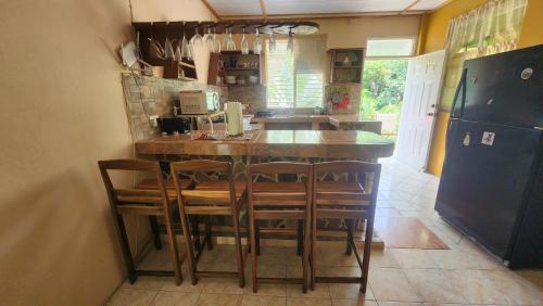 River Splash Apartment at Concord Dominica in Atkinson