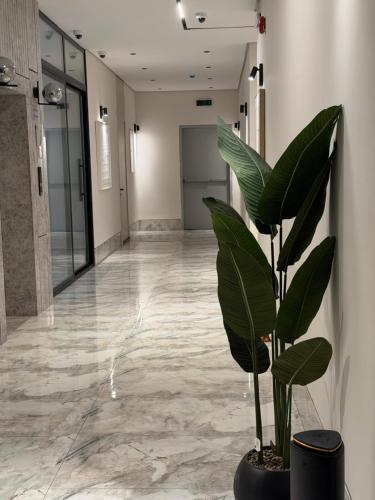 للافندر - image 5