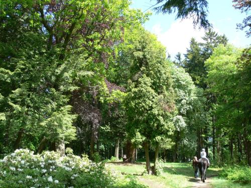 Parkhotel Smržovka