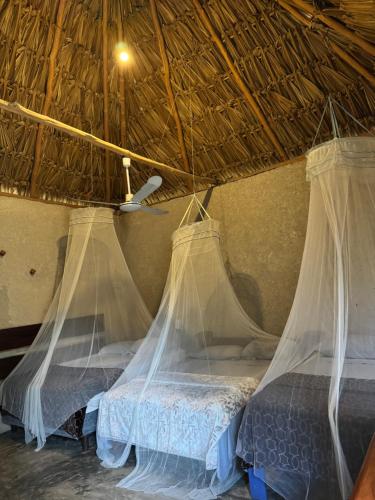 Cabañas Cheleembal (Cabanas Cheleembal) in Conhuas