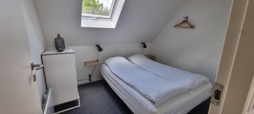 Elleholm in Odense SV