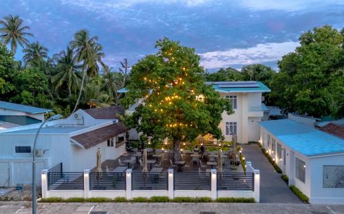 Cozy Nest Fuvahmulah in جنافياني أتول