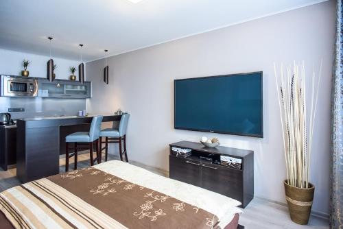 Luxury Apartments Ostrava - image 3