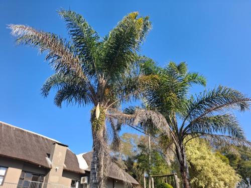Phola La Bed and Breakfast in Melmoth
