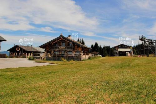 Spacious and comfortable property in Les Gets