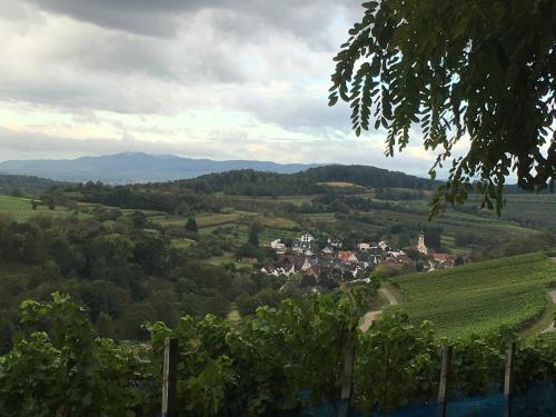 Holiday Apartment Bombach in Kenzingen