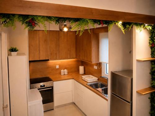 virtuve, Afanias Lakonia Apartment in Skala Lakonija