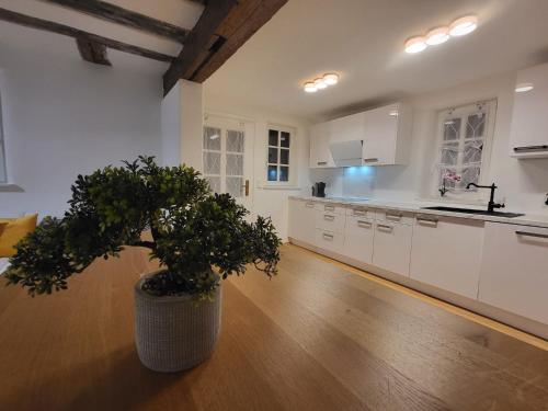 Frankfurt-Nähe 3 Wohnungen 19 Betten (Frankfurt-Nahe 3 Wohnungen 19 Betten) in Babenhausen