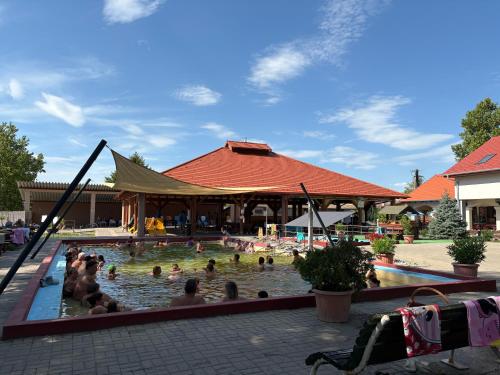 Levendula Apartman in Buzsak