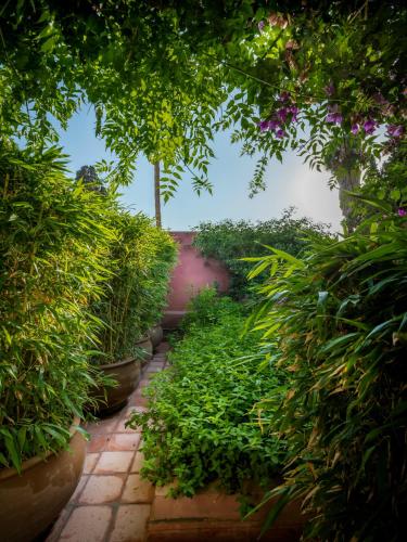Riad Oasis 3 – Marrakech, DC