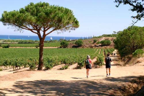 Village vacances Ramatuelle - Le Sentier des Pins – Ramatuelle, ID