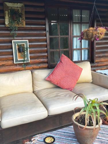 Hummingbird House in Ruiterbos