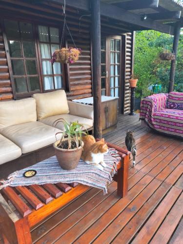 Hummingbird House in Ruiterbos