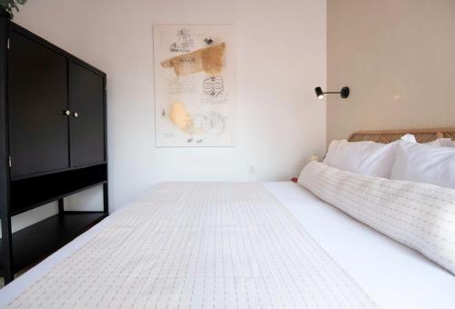 2 Luxury Villas in Condesa with Rooftops 18BR
