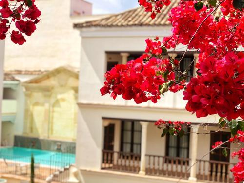 Las Casas de la Judería de Córdoba