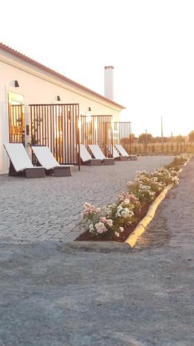 Terras - Agroturismo & Vinhos, Beja (Foto 9)