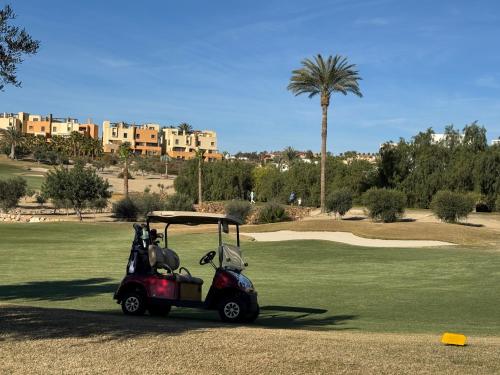 Altos de Vera II- Ático con vistas espectaculares al campo de golf Valle del Este