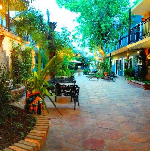 Kert, Hotel Olimpia Centro Historico in Monclova