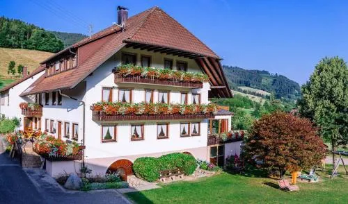 Schiebenrothenhof in Simonswald, Deutschland