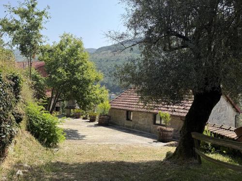 Serena Valley Nest 01 gîte à louer Eiró