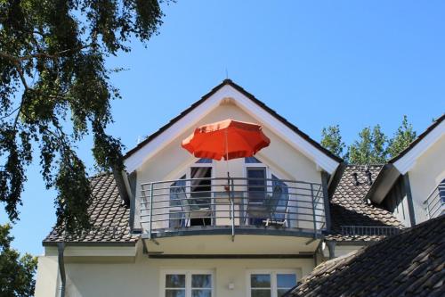 Min Lütt in Ahrenshoop, Deutschland