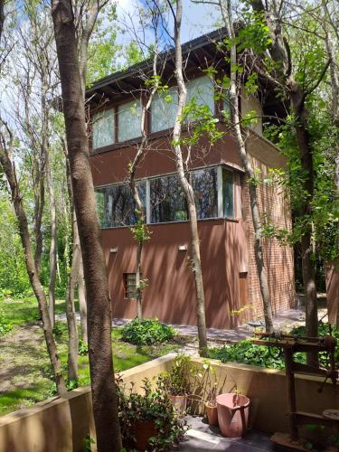 Casas del Arbol 2