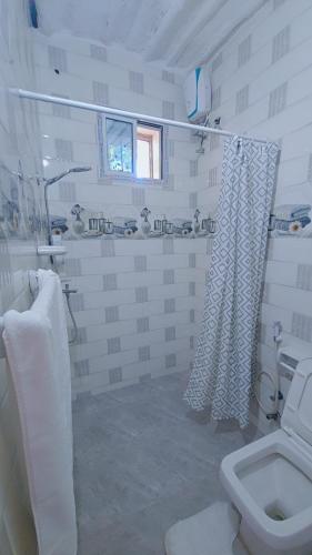 Zuri Stonetown Apartments - image 4