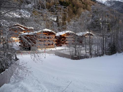 Appartement lumineux, animaux OK - 6 pers. - FR-1-754-117 in Les Fys
