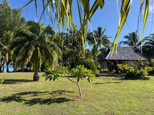 Garden, maupiti farepaeao in Maupiti Island