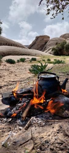 Jordan trail dana to petra in 다나