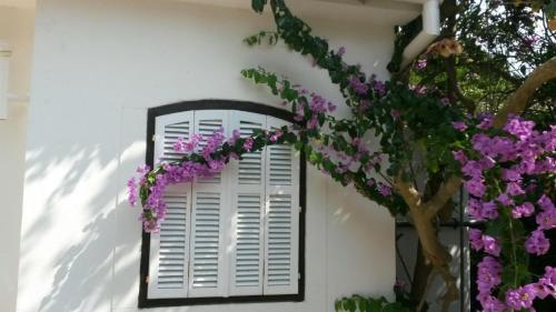  Bougainvillea House in Silba
