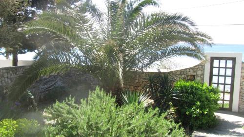  Bougainvillea House in Silba