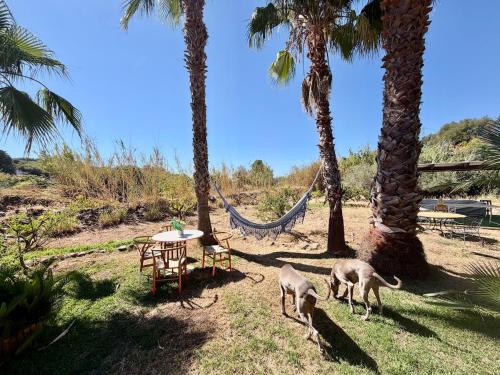 La Colmenita Countryside Escape Pet Friendly in Estepona
