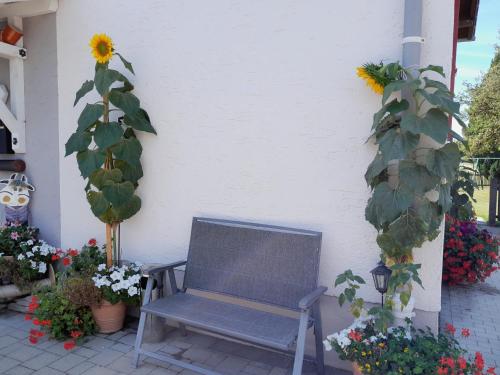 Gästehaus Reisacher - Ferienwohnung mit Frühstück (Gastehaus Reisacher - Ferienwohnung mit Fruhstuck) in Peiting