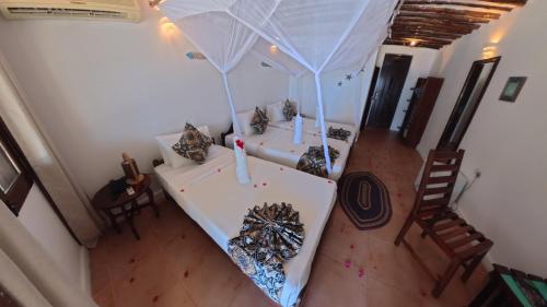 Antonio Beach Room Type - Double Room with Sea View