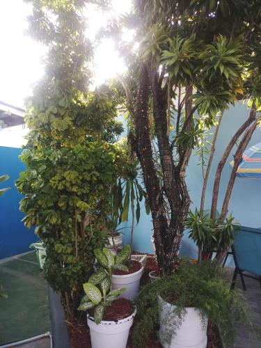CTV Woodbrook Guest Accommodation in Port Of Spain