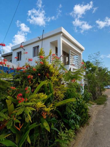 Studio apartment with available parking in Nagua