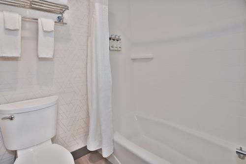 Holiday Inn Express Kitty Hawk - Outer Banks by IHG Room Type - Standard Room with Two Queen Beds