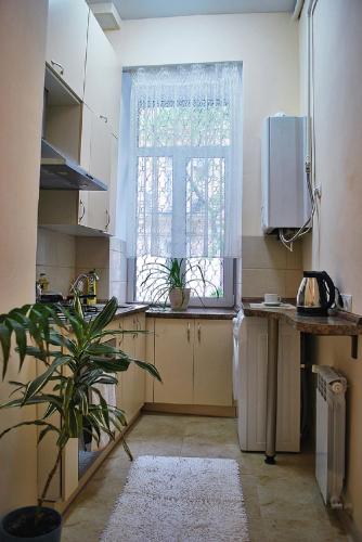 Classic Apartment on Zhukovskoho - image 2