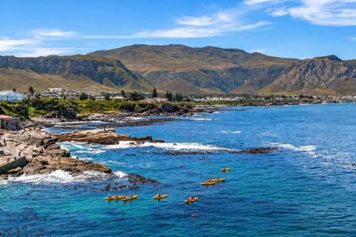 platja, Never at Home Hermanus in Hermanus