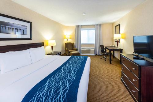Comfort Inn & Suites Edson - Yellowhead Highway Room Type - King Room - Non-Smoking