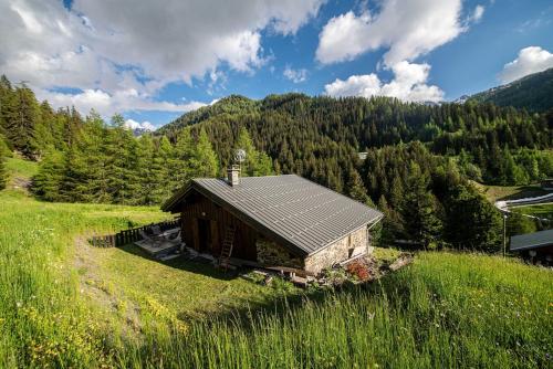 Bright and spacious mountain property in La Plagne-Tarentaise