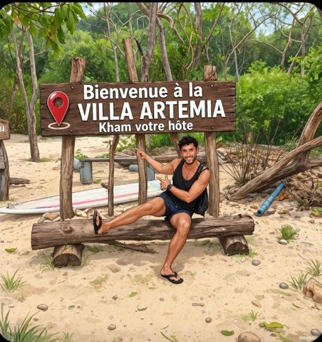 VILLA ARTEMIA - chambre d hôtes labellisée massages-piscine-climatisation 4