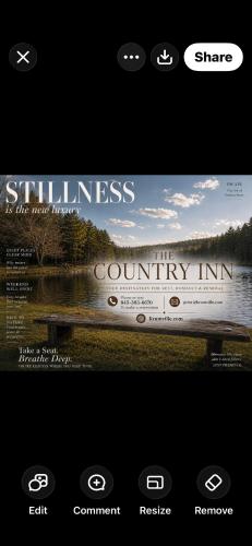 The Country Inn